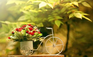 selective photo of tricycle garden pot HD wallpaper