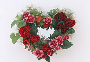 red and pink Rose wreath HD wallpaper