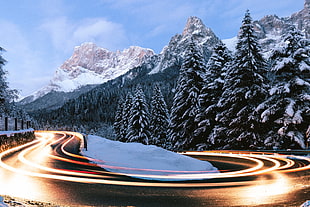 time-lapse photo of winding road with pine trees