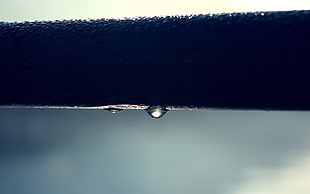 water dew on black surface on focus photo HD wallpaper
