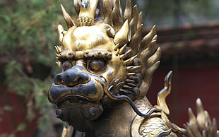 gold-colored Fu-dog statue HD wallpaper