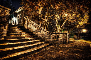 gray concrete stair, night, stairs, HDR, park HD wallpaper