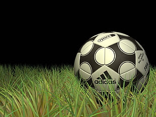 black and white ADidas soccer ball on grass