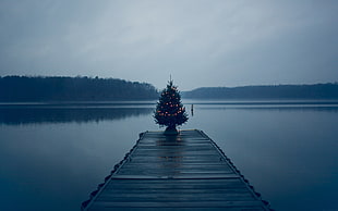 grey wooden dock in between body of water HD wallpaper