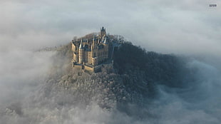 gray and blue concrete castle, castle, Hohenzollern, Germany, forest HD wallpaper