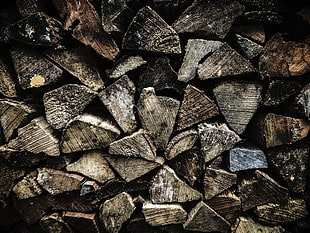 pile of firewood, Firewood, Texture, Wooden HD wallpaper
