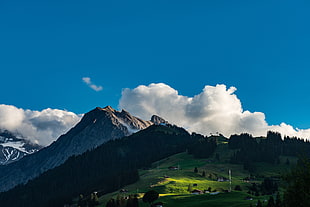 green grass field, nature, landscape, mountains, sky