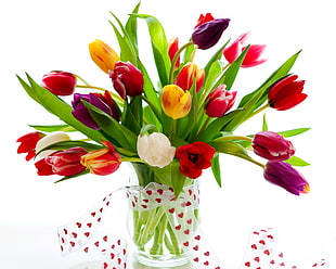 photo of red,yellow and purple petaled flower arrangement