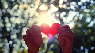 person holding heart cut paper during daytime