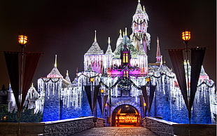 white and purple castle illustration, cityscape, castle, Disneyland, lights HD wallpaper