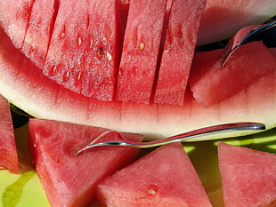 close-up of a sliced watermelon HD wallpaper