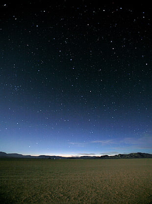 stars above green grass field