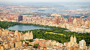 city buildings, trees, and pond, cityscape, architecture, building, city