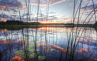 calm body of water during daytime