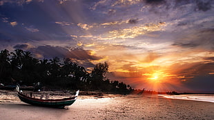 green wooden boat, sunset, nature, beach, boat