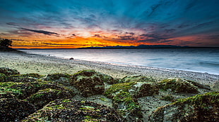 photography of blue sea, gray sand and blue sky