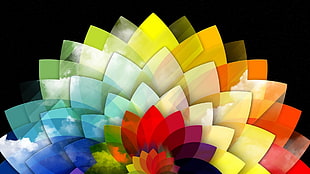 leaf-edge multicolored illustration HD wallpaper