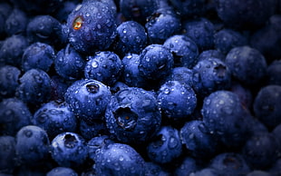 bunch of blueberries HD wallpaper