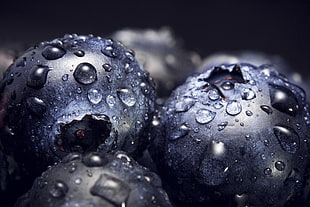 close up photo of two blueberries HD wallpaper