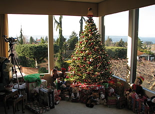 Christmas tree between pile of gifts and plush toys near glass window HD wallpaper