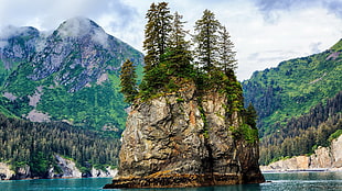 brown and gray rock island and trees, nature, green, forest clearing, forest