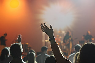 people raising hands in tilt shift photography