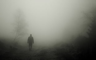 silhouette of man walking near tree