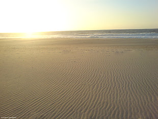 brown sands, beach, sea HD wallpaper