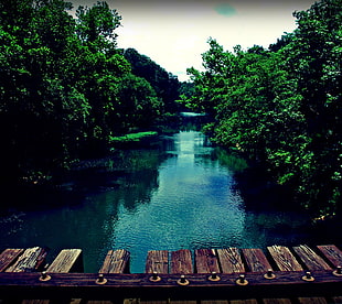 brown wooden dock, wood, water, river HD wallpaper