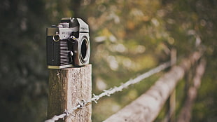 black and gray SLR camera, barbed wire, camera, fence, bokeh HD wallpaper