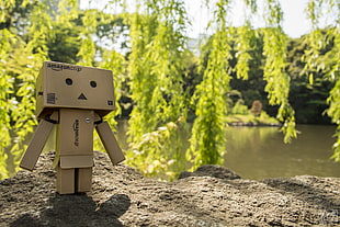 green and yellow flower decor, Danbo, Japan, Japanese, Japanese Garden