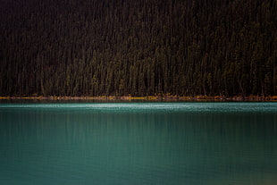 lake and trees, mountains, trees, lake, water