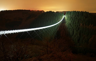 bridge digital wallpaper, dark, night, lights, bridge HD wallpaper