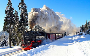 black and red train, nature, winter, snow, shadow HD wallpaper