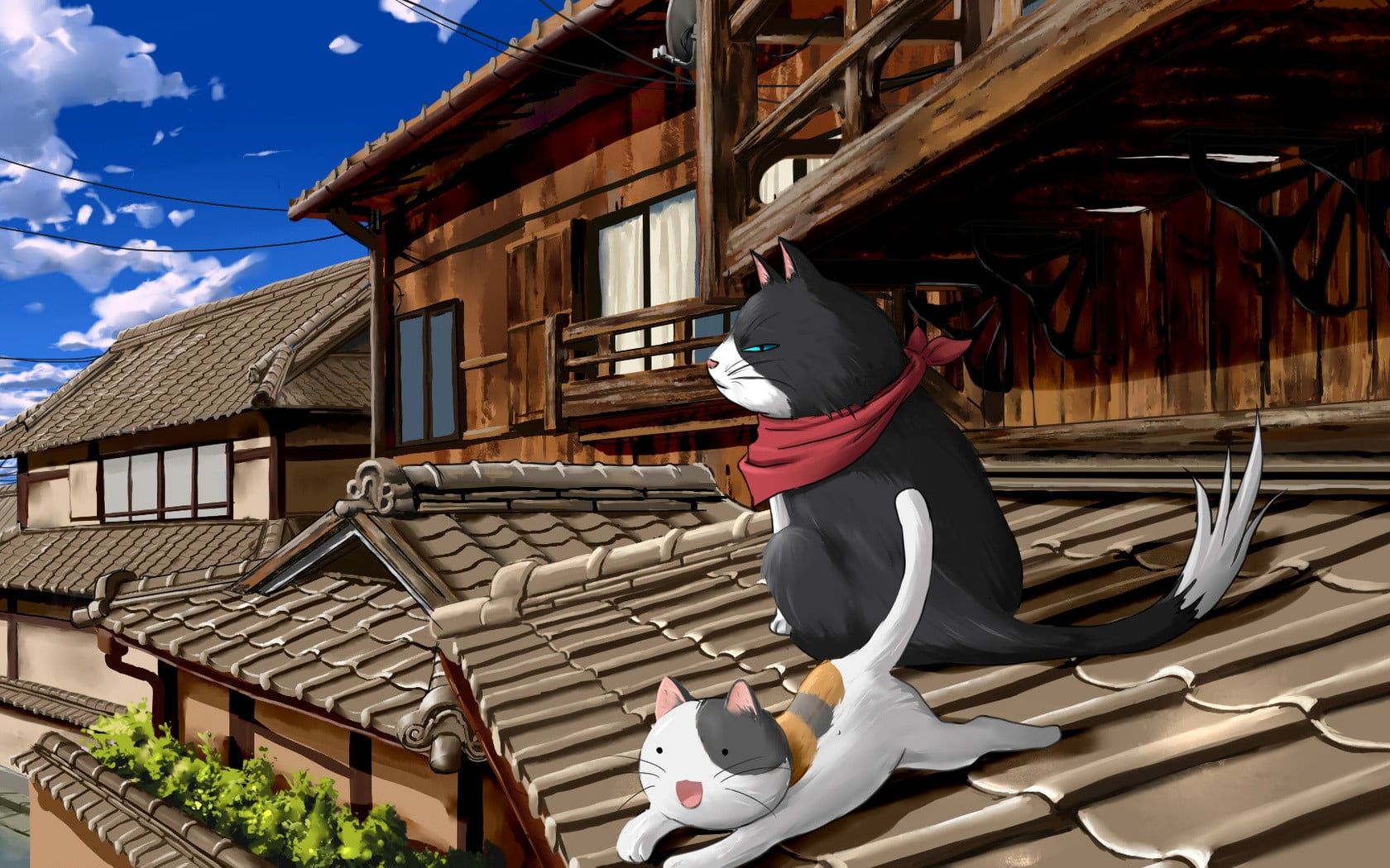 black and white cat anime art, cat, Nyan Koi, nyamsas, anime