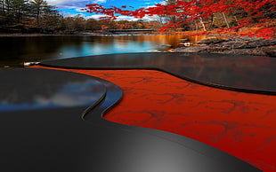 red trees, landscape HD wallpaper