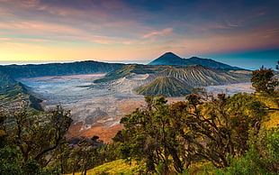 green leafed trees, landscape, mountains, volcano, Indonesia HD wallpaper