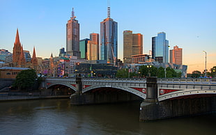 gray and red concrete bridge and high rise buildings