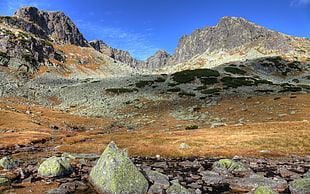 gray and brown terrain under blue sky