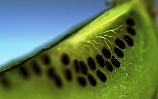 selective photography of green kiwi fruit HD wallpaper
