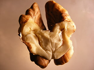 piece of walnut