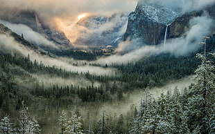 white and black fur area rug, nature, landscape, mist, mountains HD wallpaper