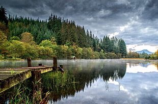 brown wooden lake dock, landscape, river HD wallpaper