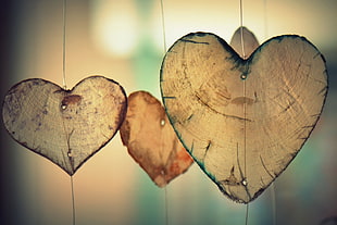 selective focus photography of heart-shaped decors HD wallpaper