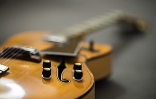 brown electric guitar HD wallpaper