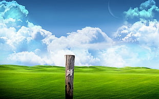 brown wooden pillar on green field during daytime HD wallpaper