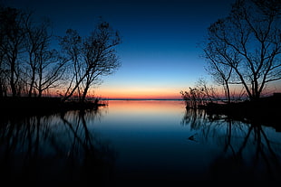 lake with trees during golden hour HD wallpaper