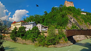 several assorted-color buildings, cityscape, river