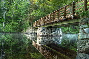 reflective photo of bridge, ipswich river HD wallpaper