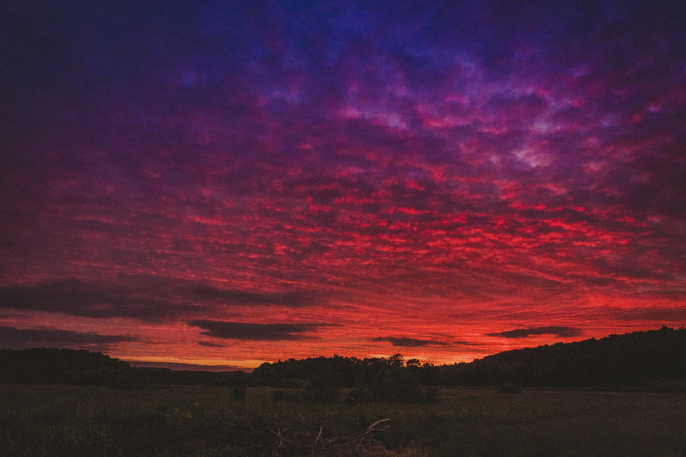 red and purple clouds HD wallpaper